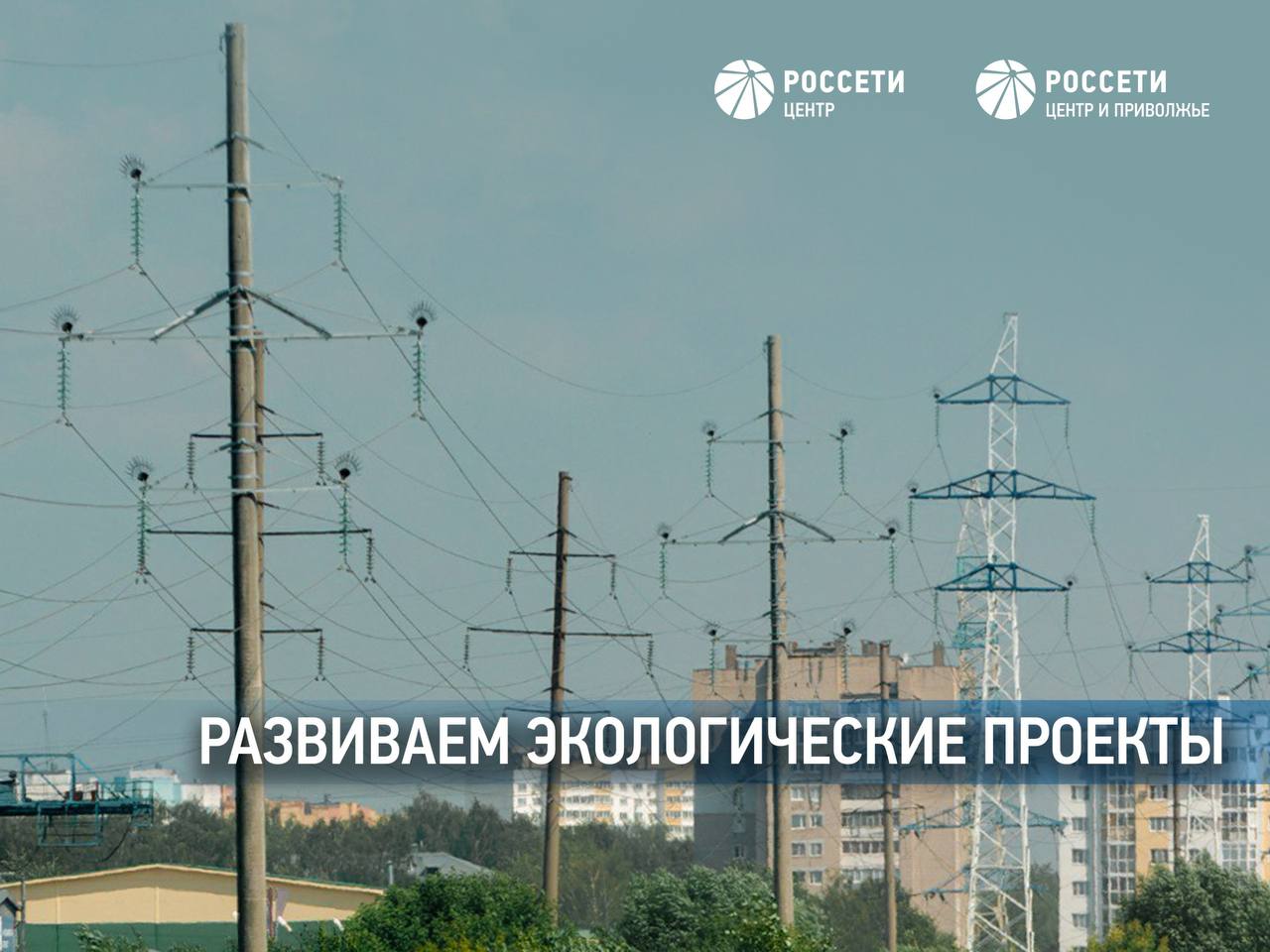 «Россети Центр» и «Россети Центр и Приволжье» развивают экологические проекты